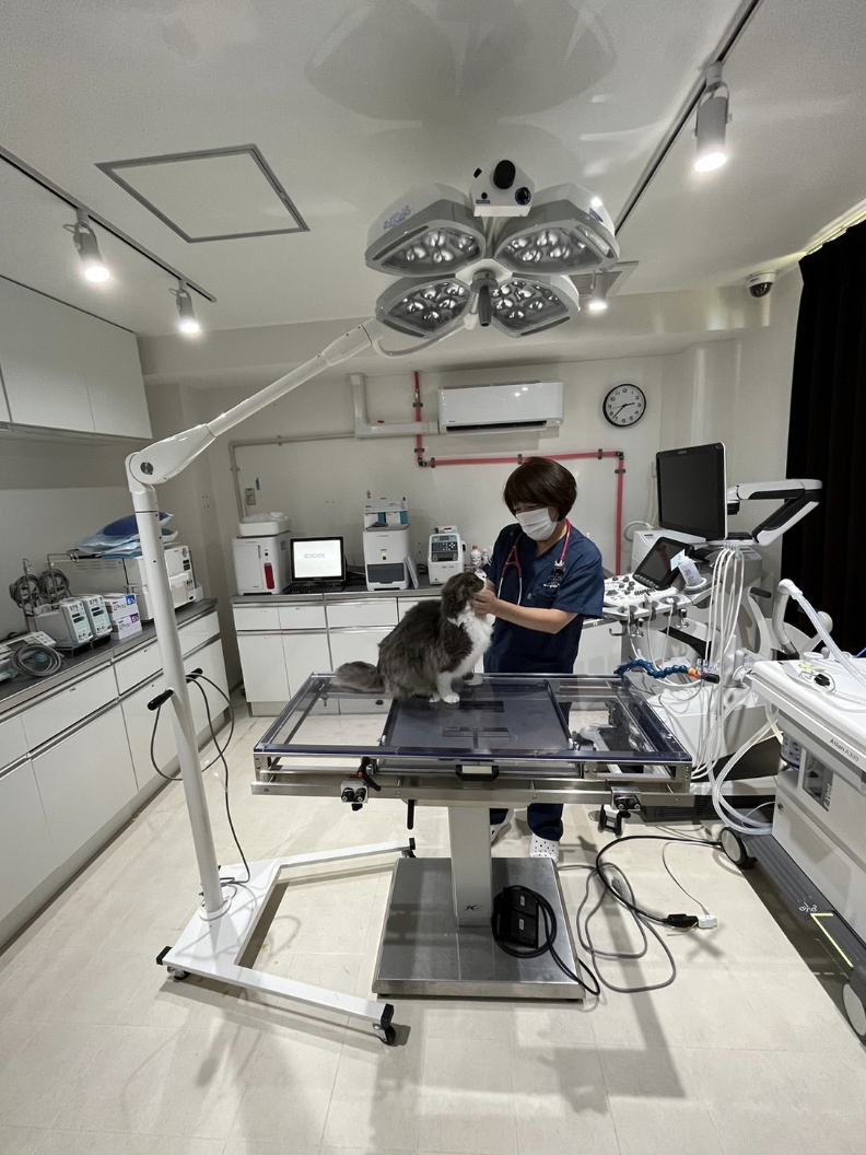 ペットクリニック